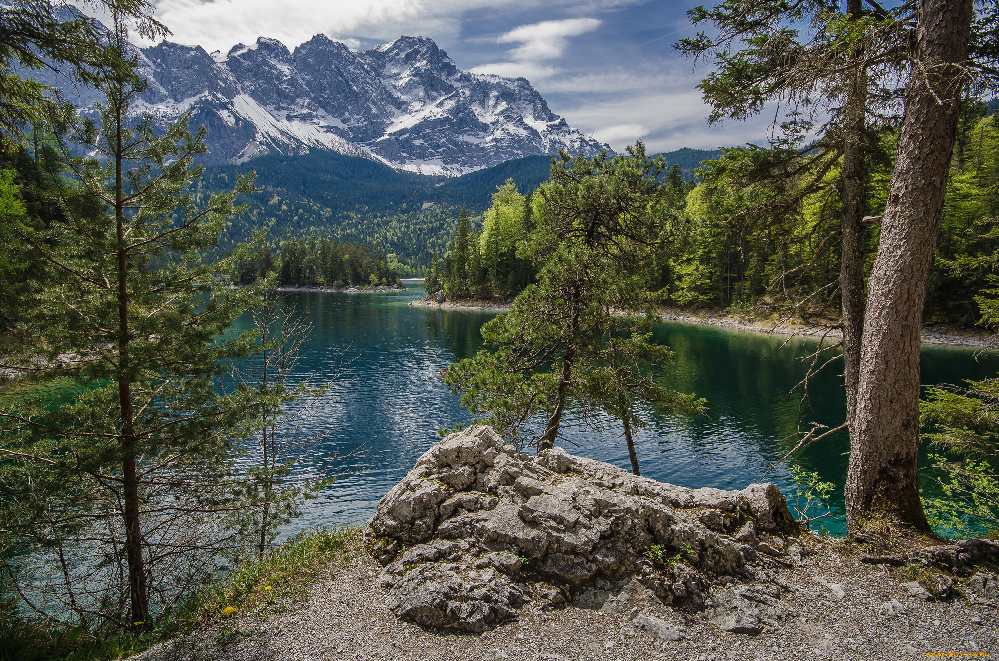 природа, реки, озера, река, лес