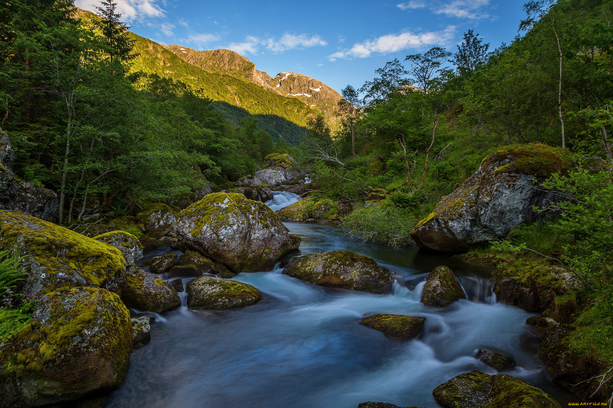 природа, реки, озера, лес, река