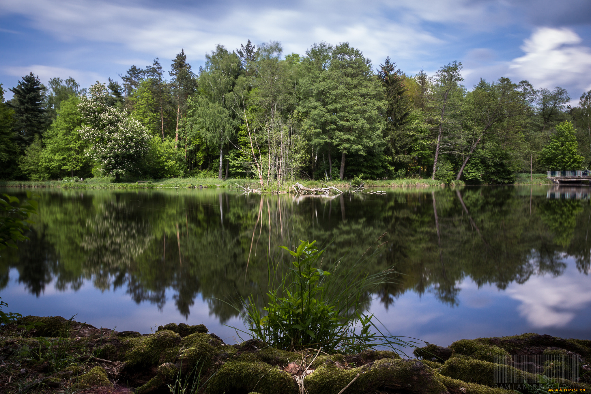 природа, реки, озера, река, лес