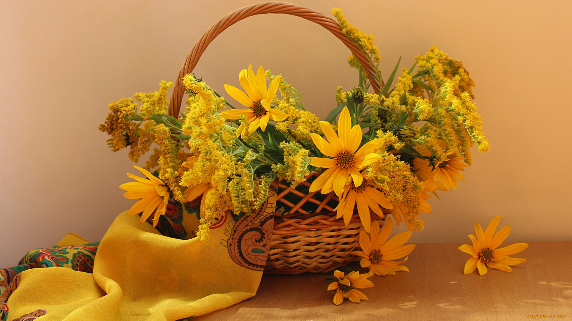цветы, букеты, , композиции, натюрморт, золотарник, корзина, осень