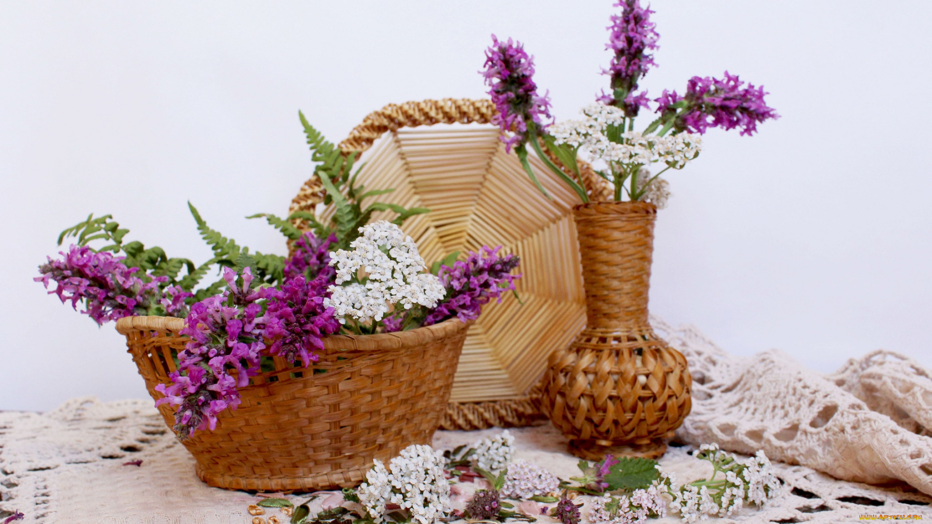 цветы, луговые, , полевые, , цветы, лето, композиция