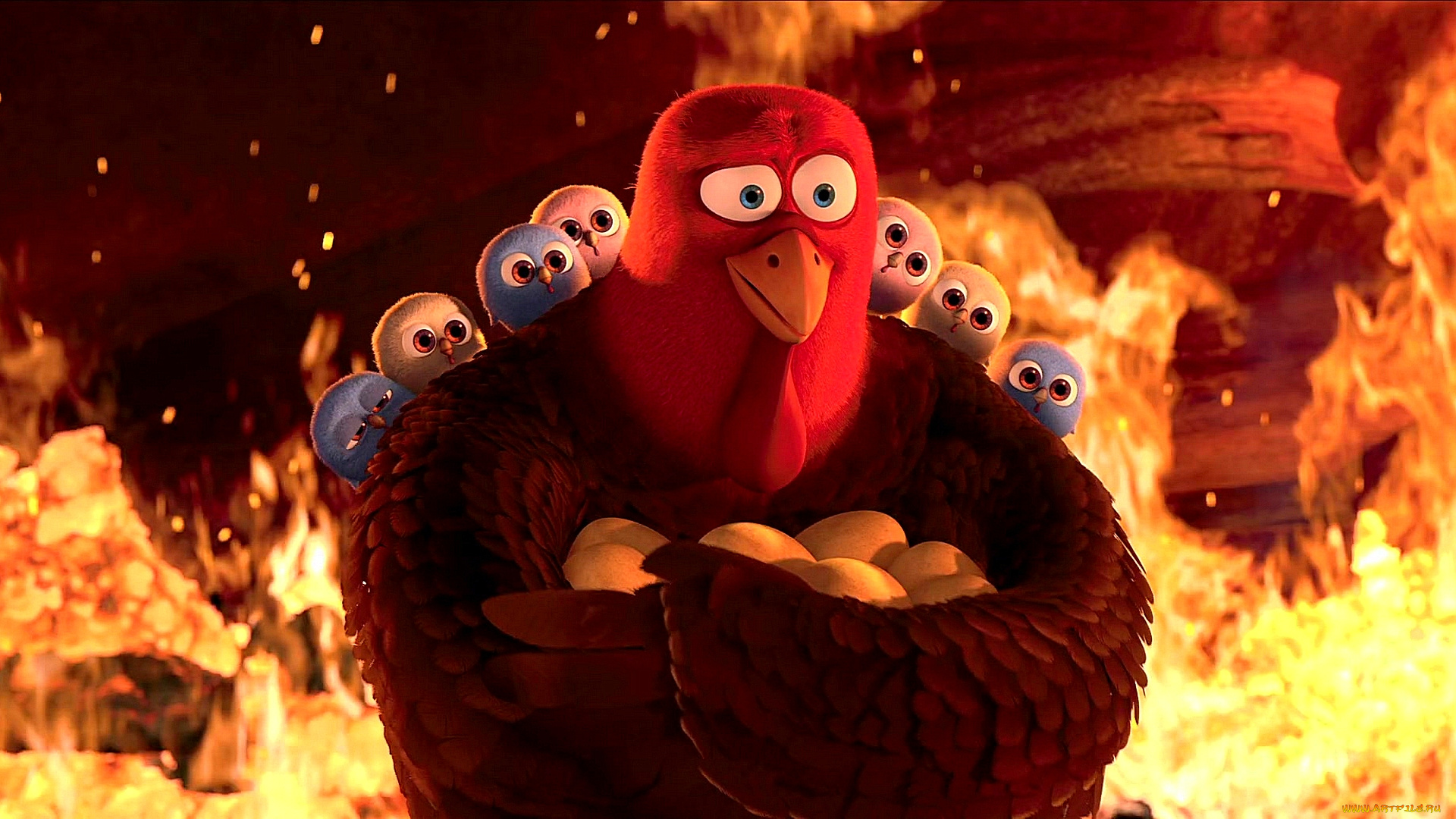 мультфильмы, free, birds, пламя, птица, огонь, яйцо, много, птенец, индюк