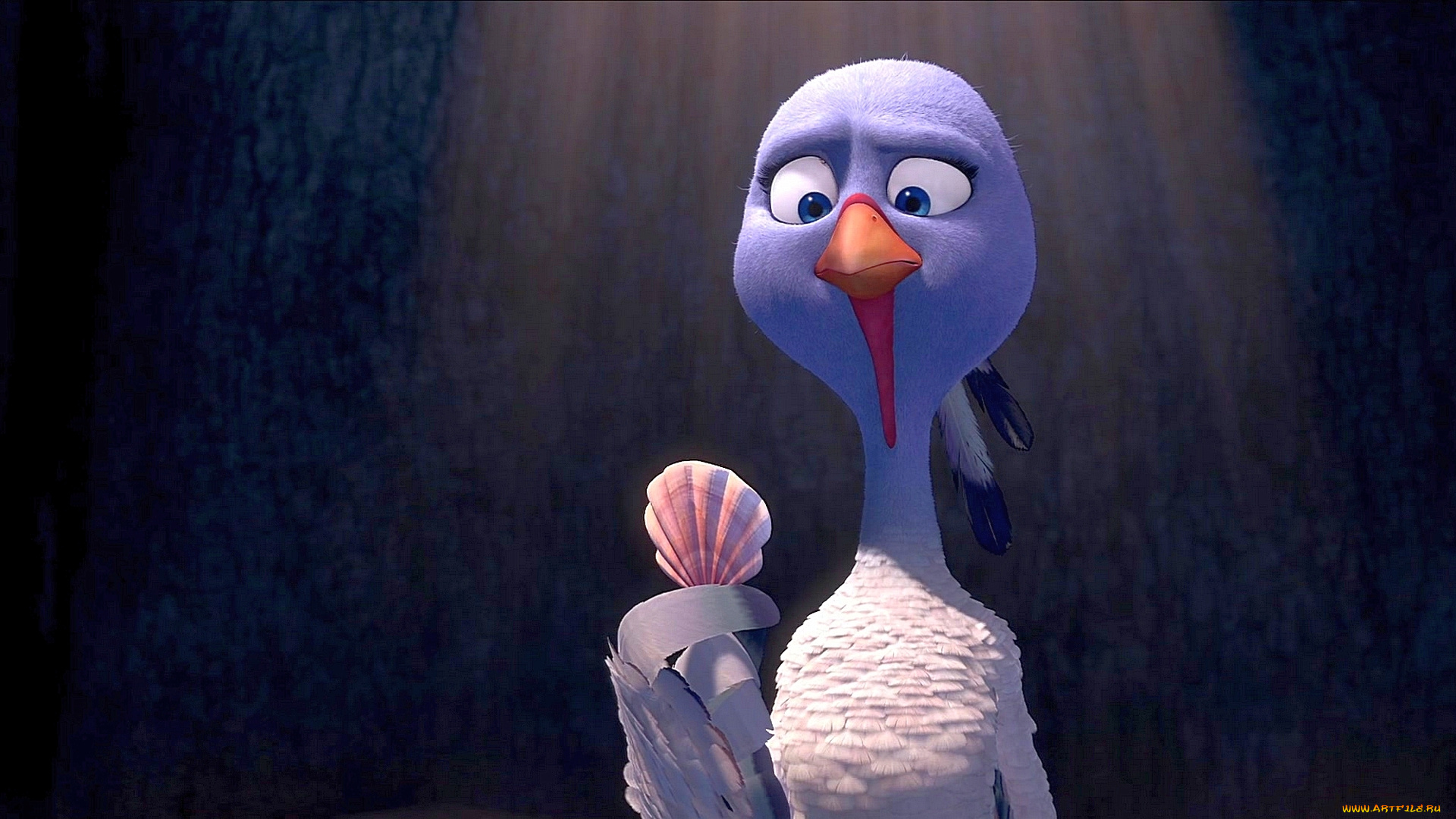 мультфильмы, free, birds, птица, взгляд, ракушка, индюшка, перо