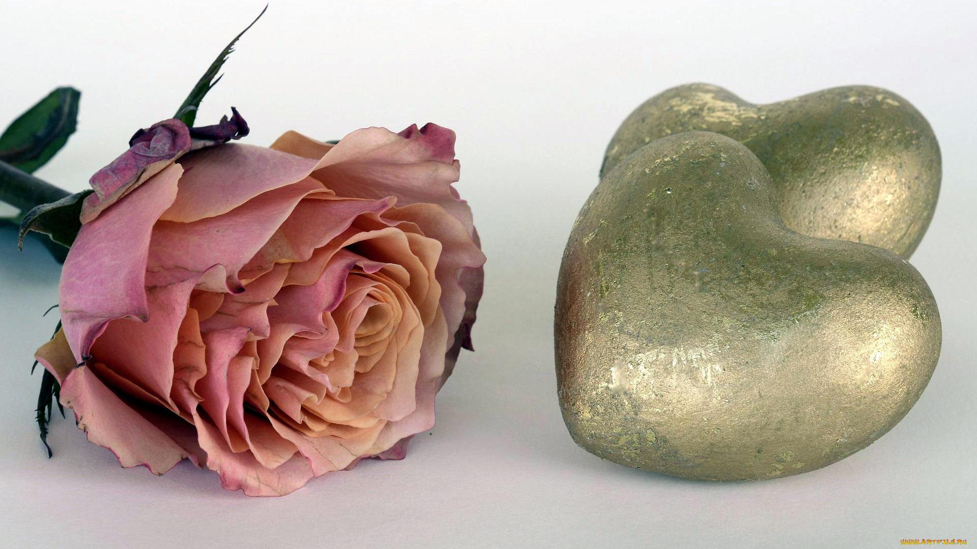 праздничные, день, святого, валентина, , сердечки, , любовь, сердце, роза