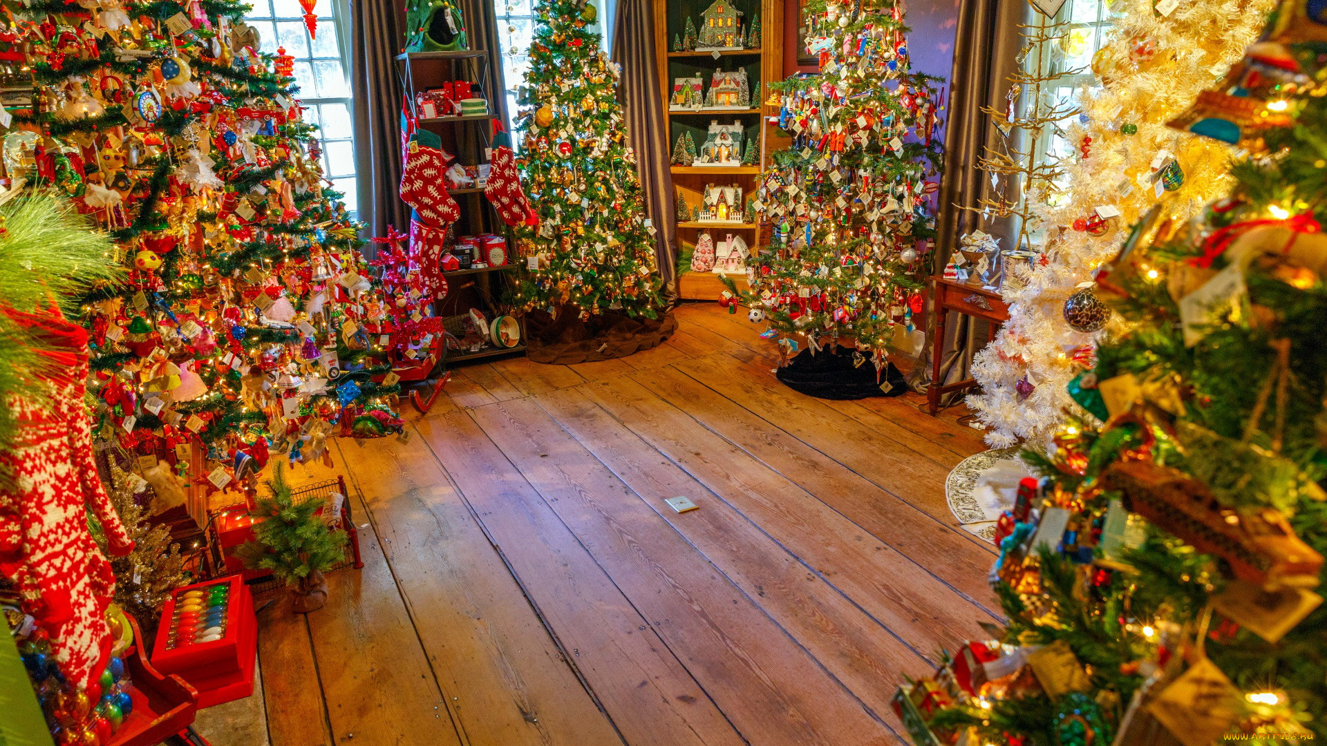 праздничные, Ёлки, много, елки, новогодние