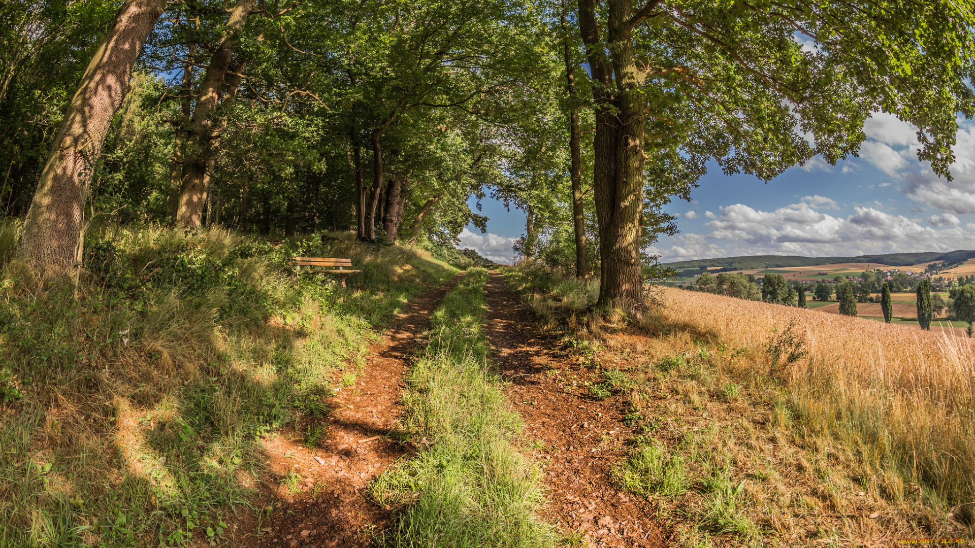 природа, дороги, простор