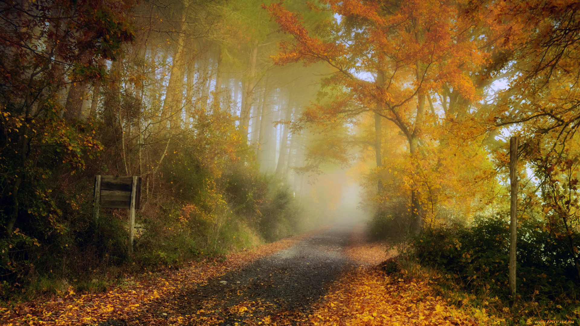 природа, дороги, простор