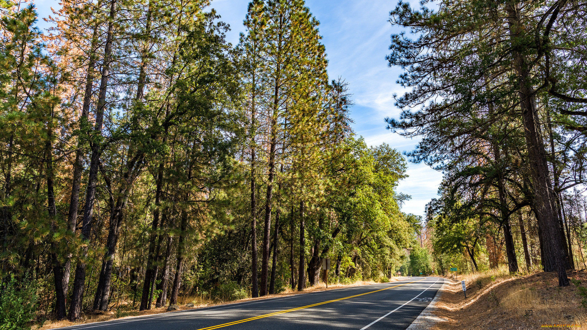 природа, дороги, простор