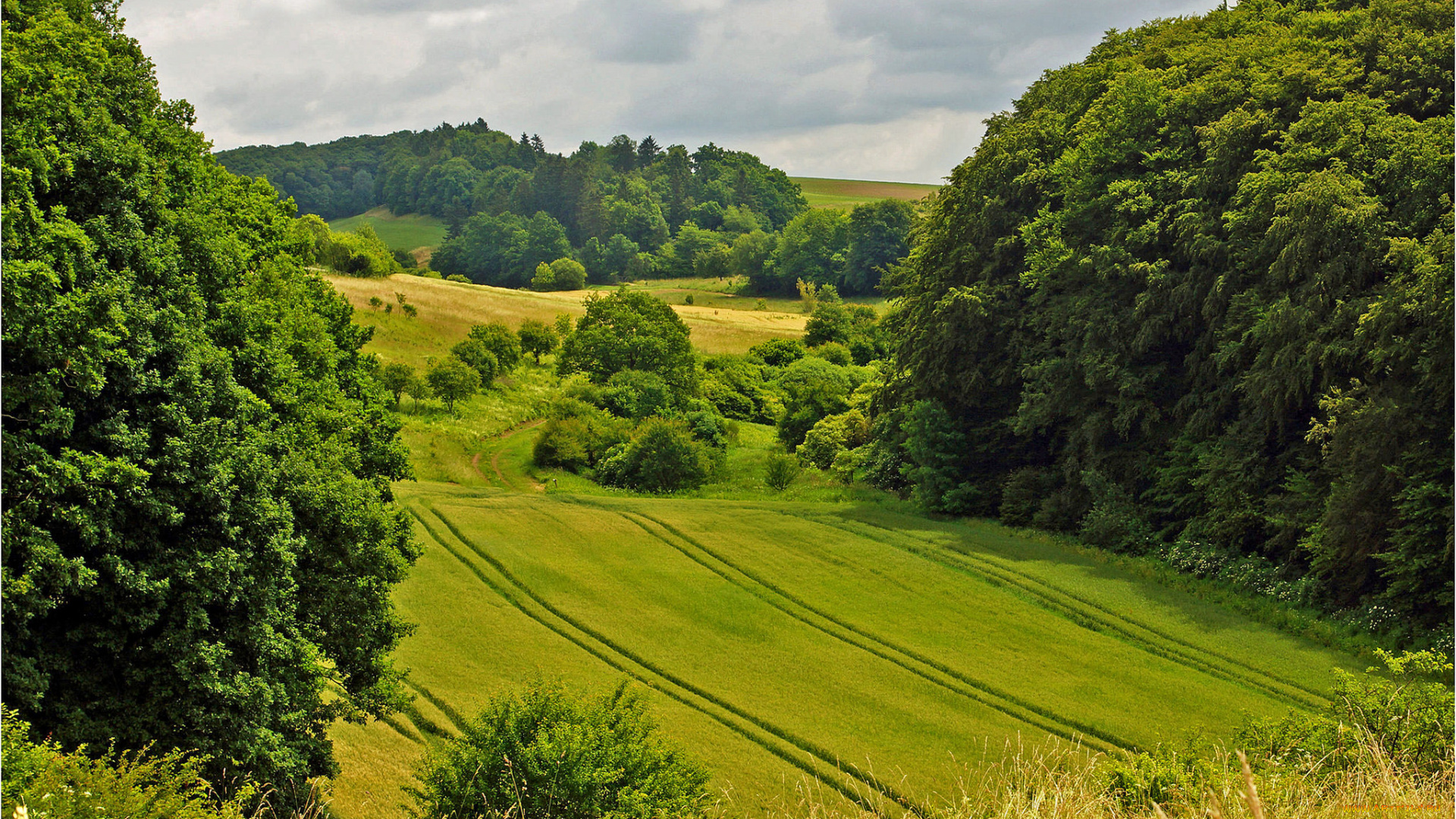 природа, пейзажи, простор