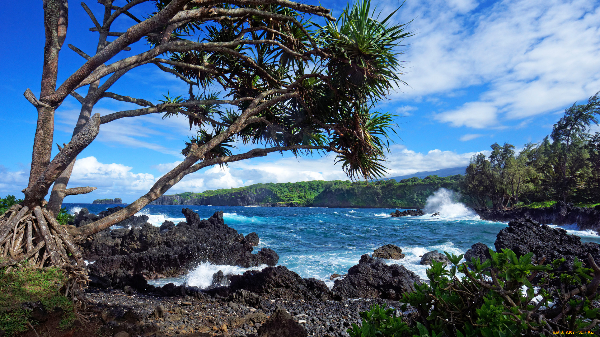 природа, побережье, простор