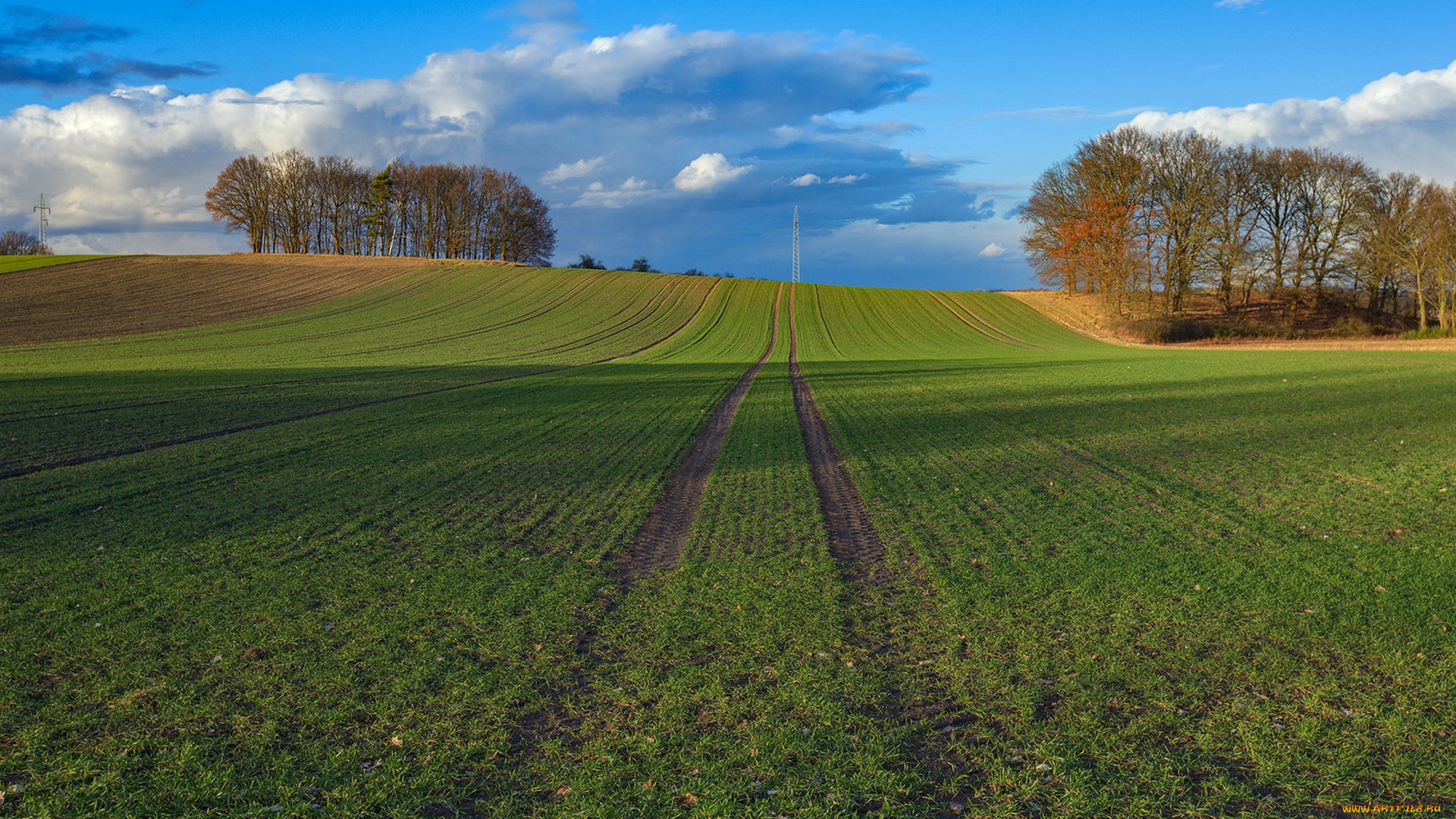 природа, поля, простор