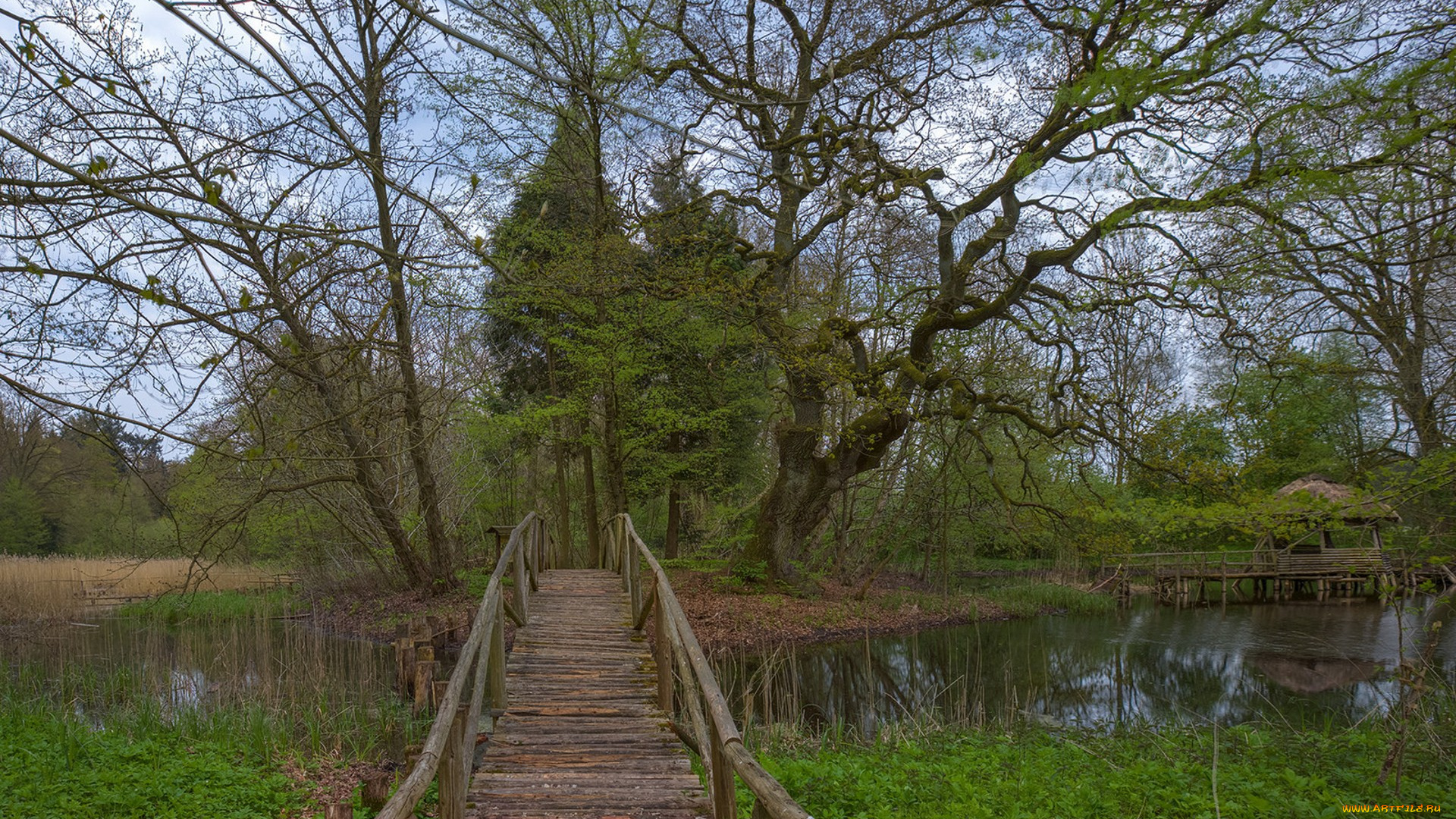 природа, реки, озера, простор