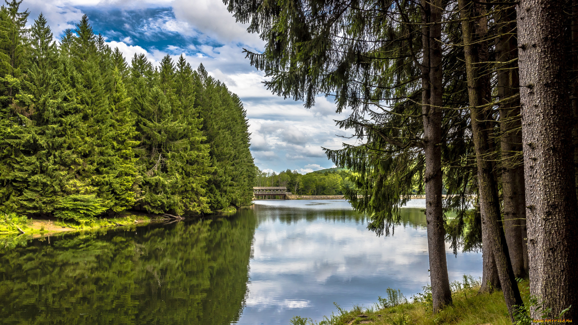 природа, реки, озера, простор