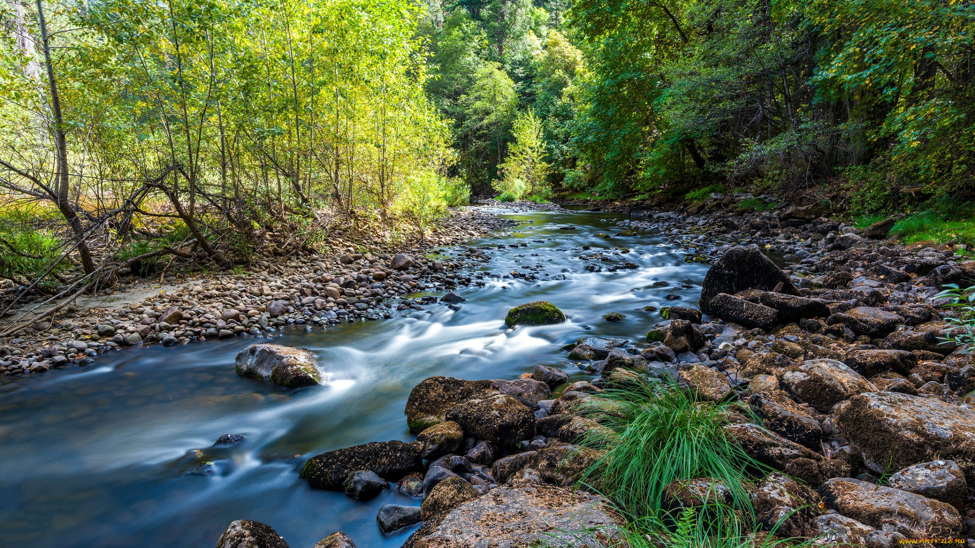 природа, реки, озера, простор