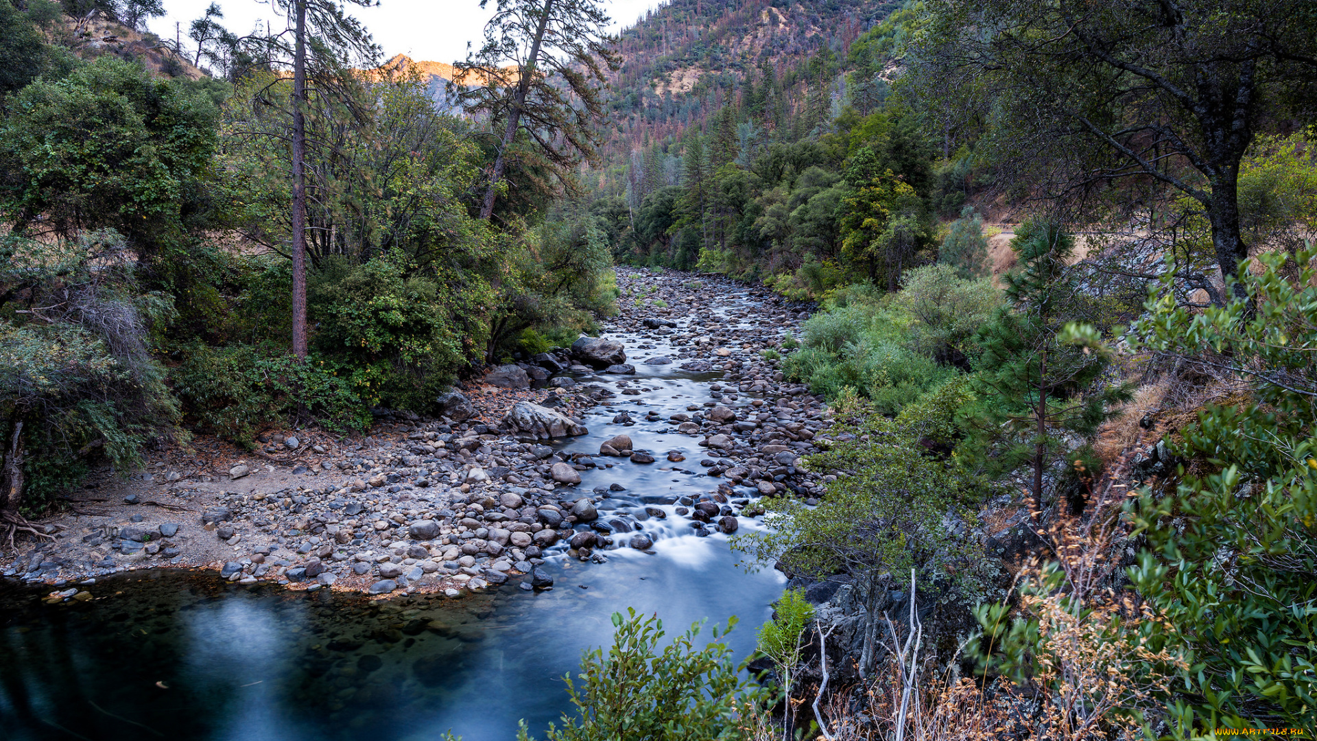 природа, реки, озера, простор