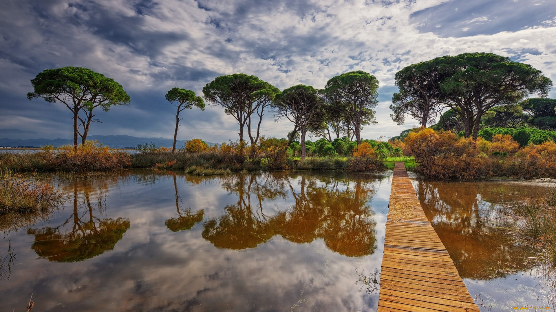 природа, реки, озера, простор