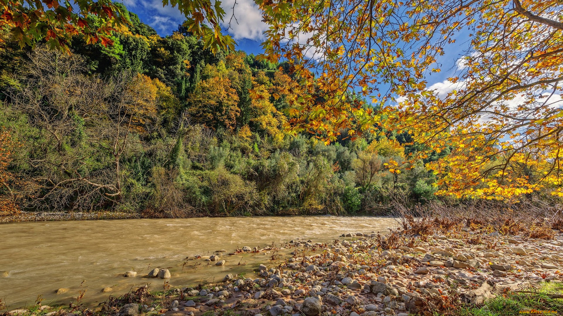 природа, реки, озера, простор