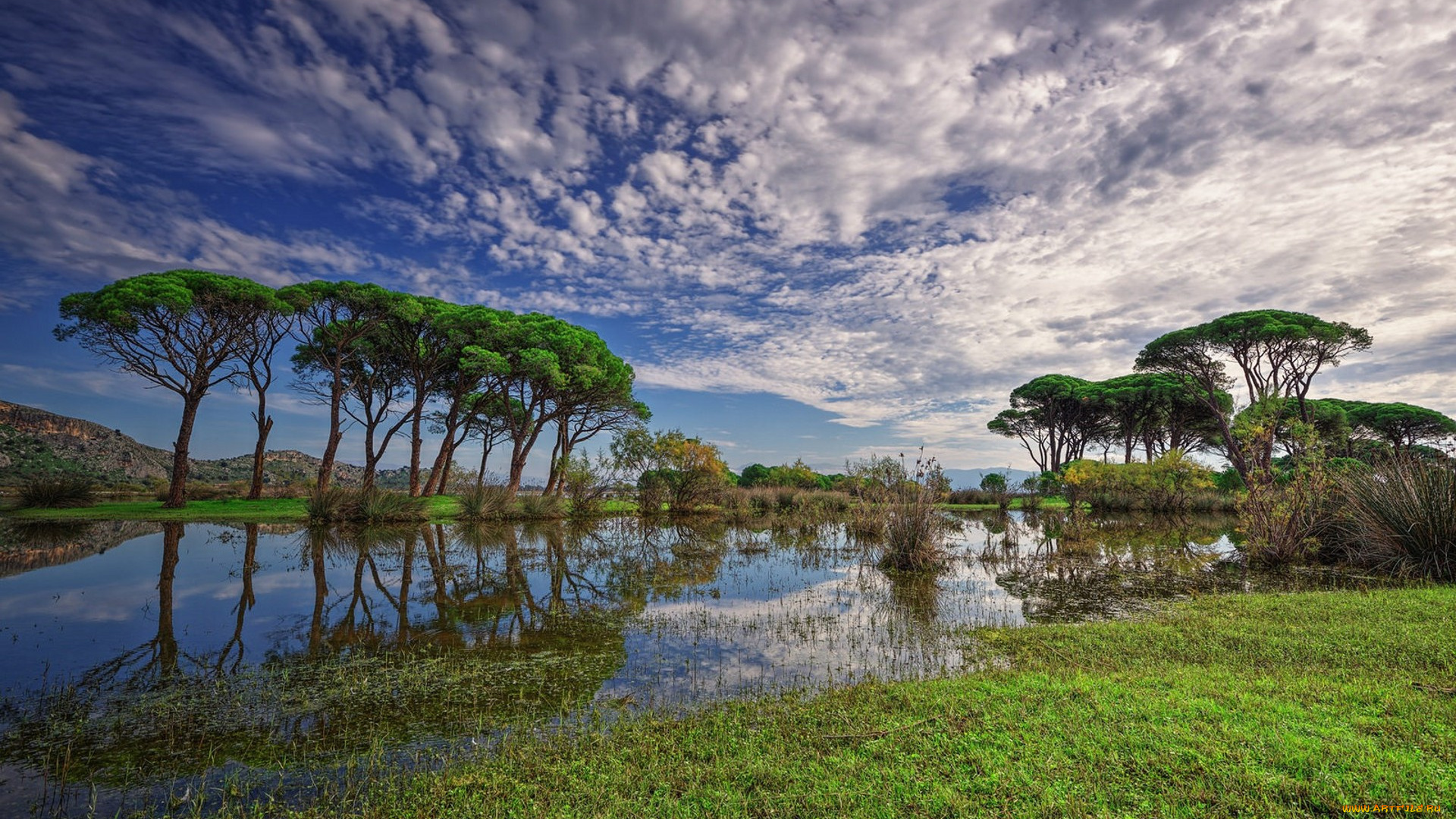 природа, реки, озера, простор