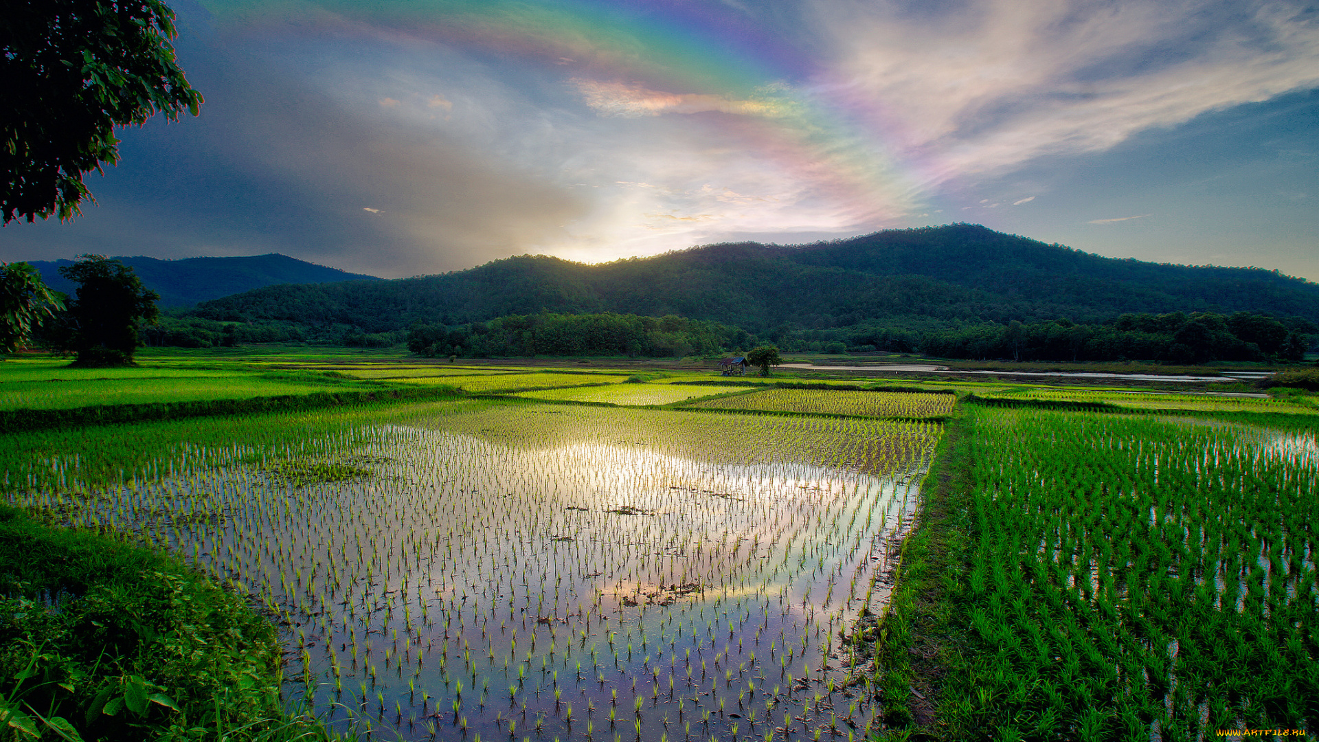 природа, реки, озера, простор