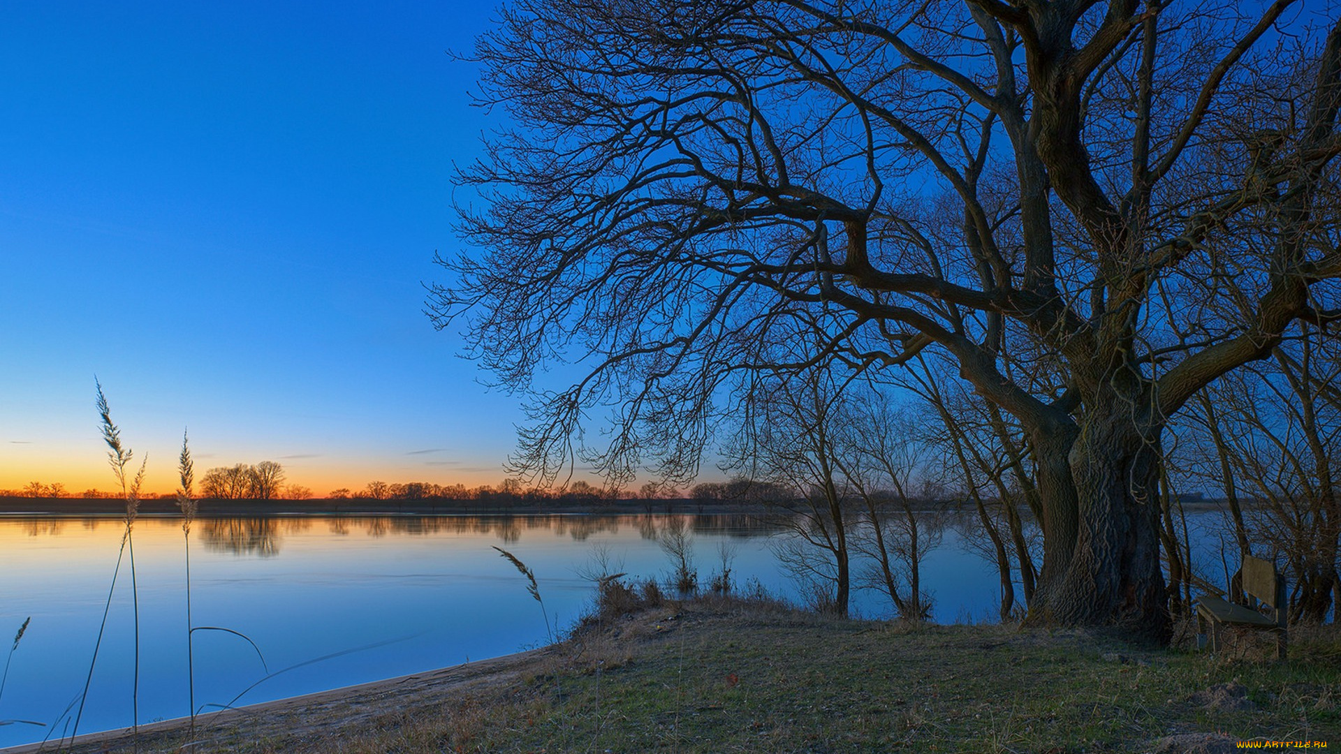 природа, реки, озера, простор