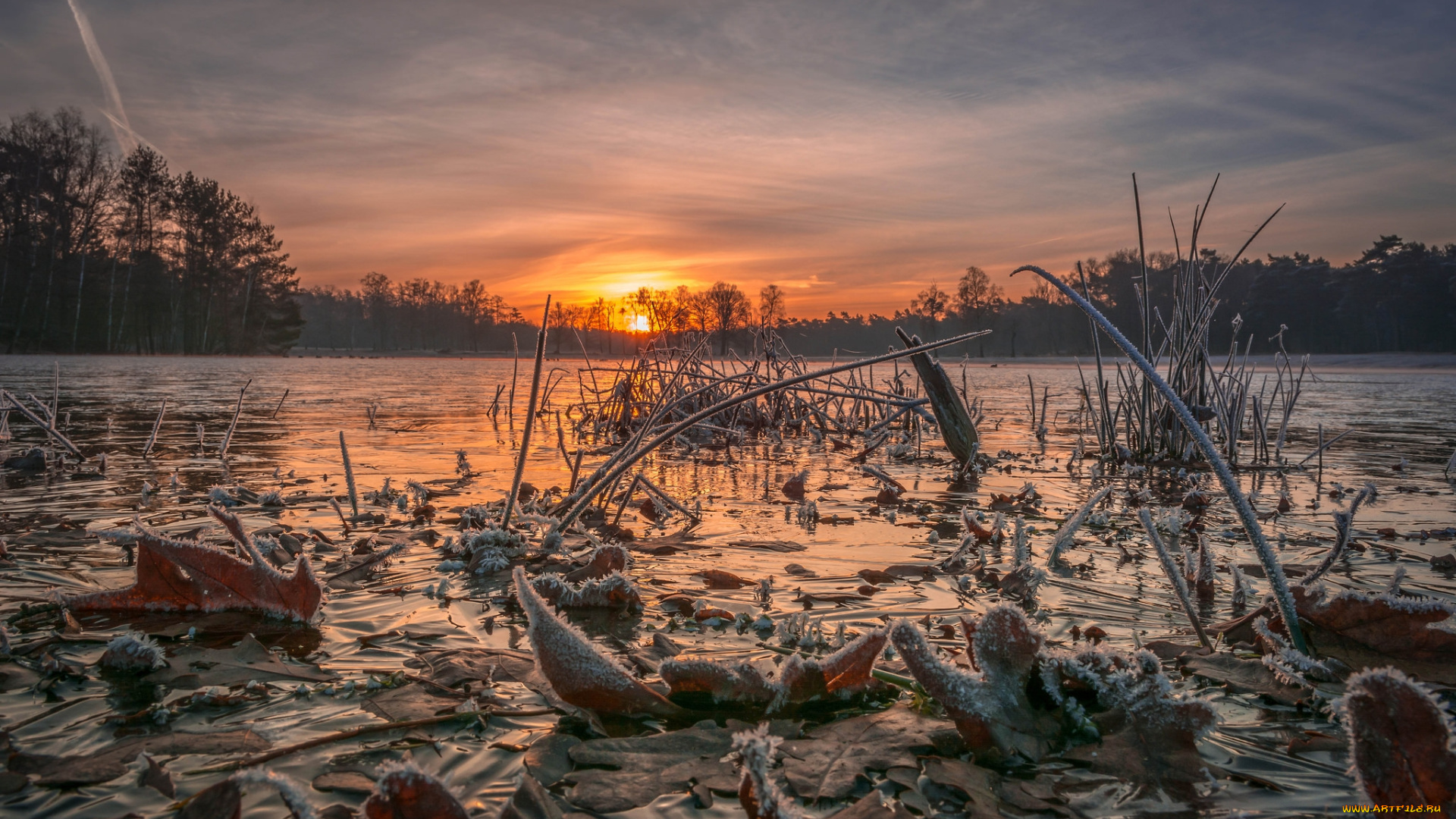 природа, восходы, закаты, простор