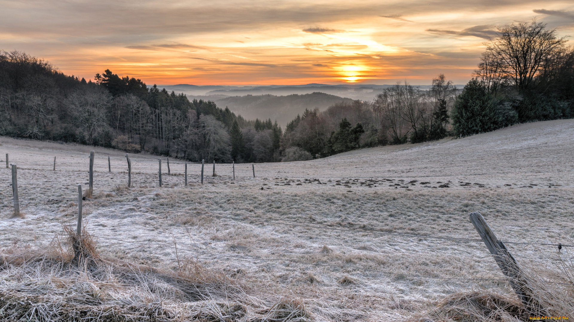 природа, зима, простор