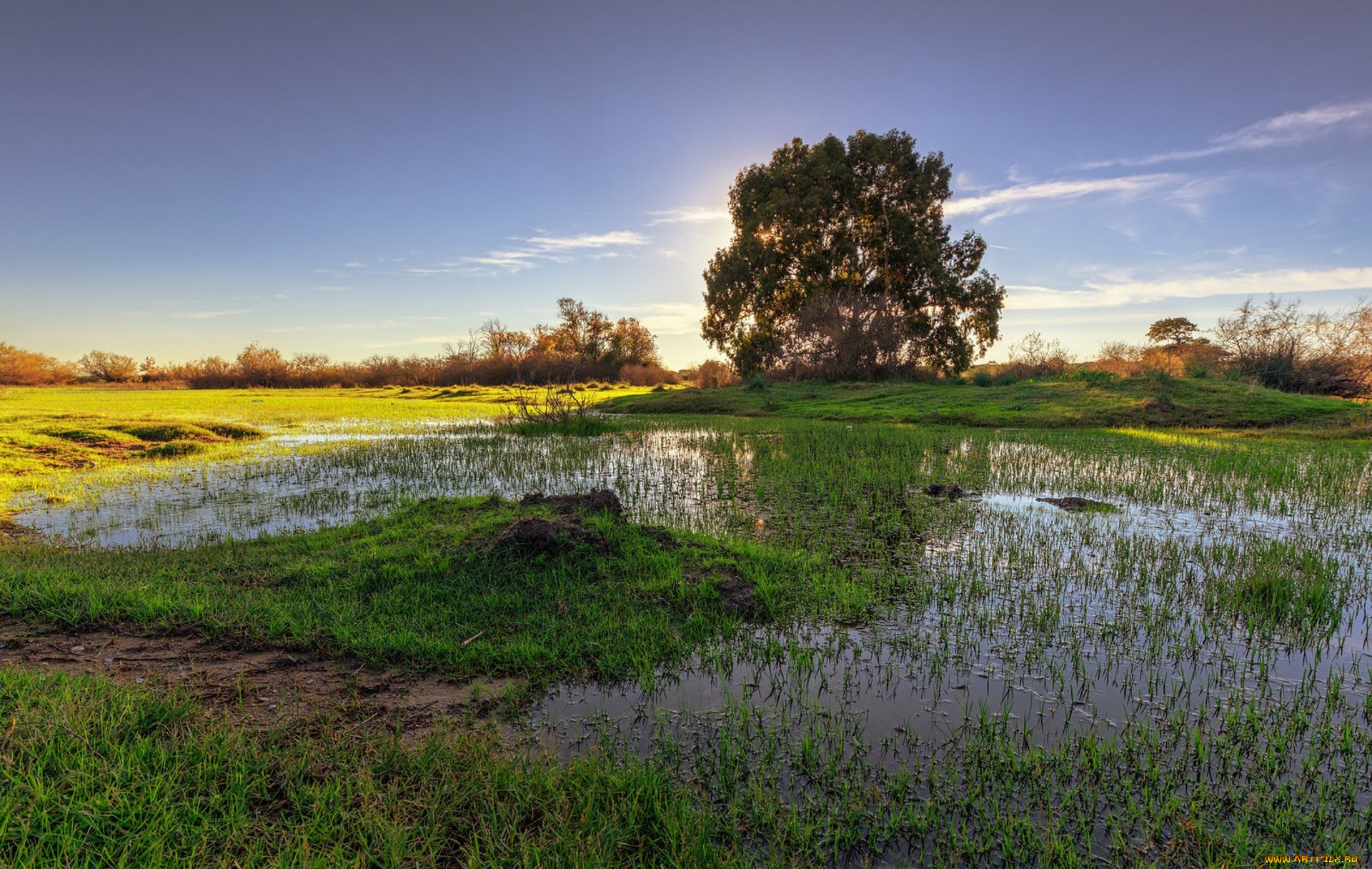 природа, пейзажи, простор