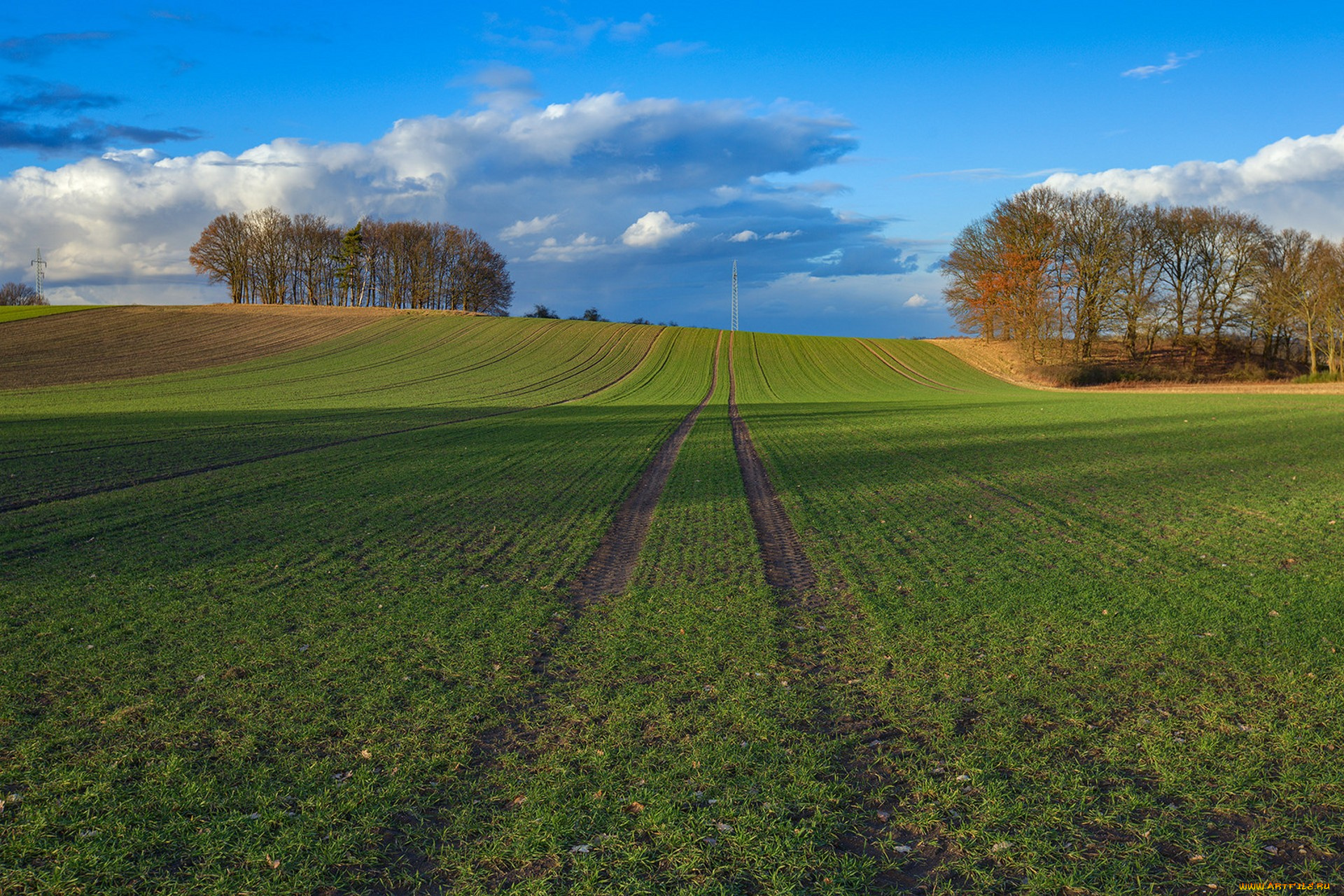 природа, поля, простор