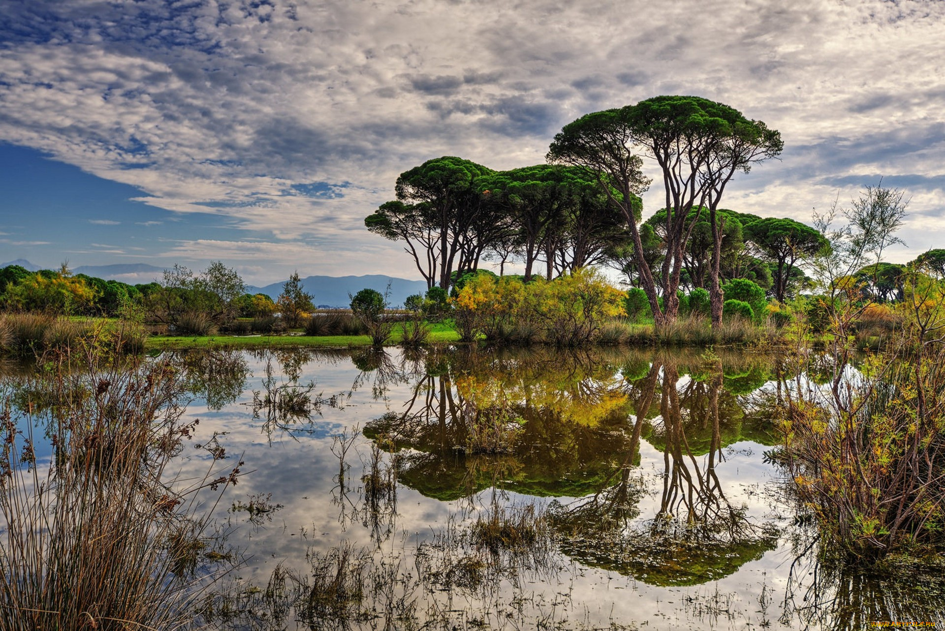 природа, реки, озера, простор