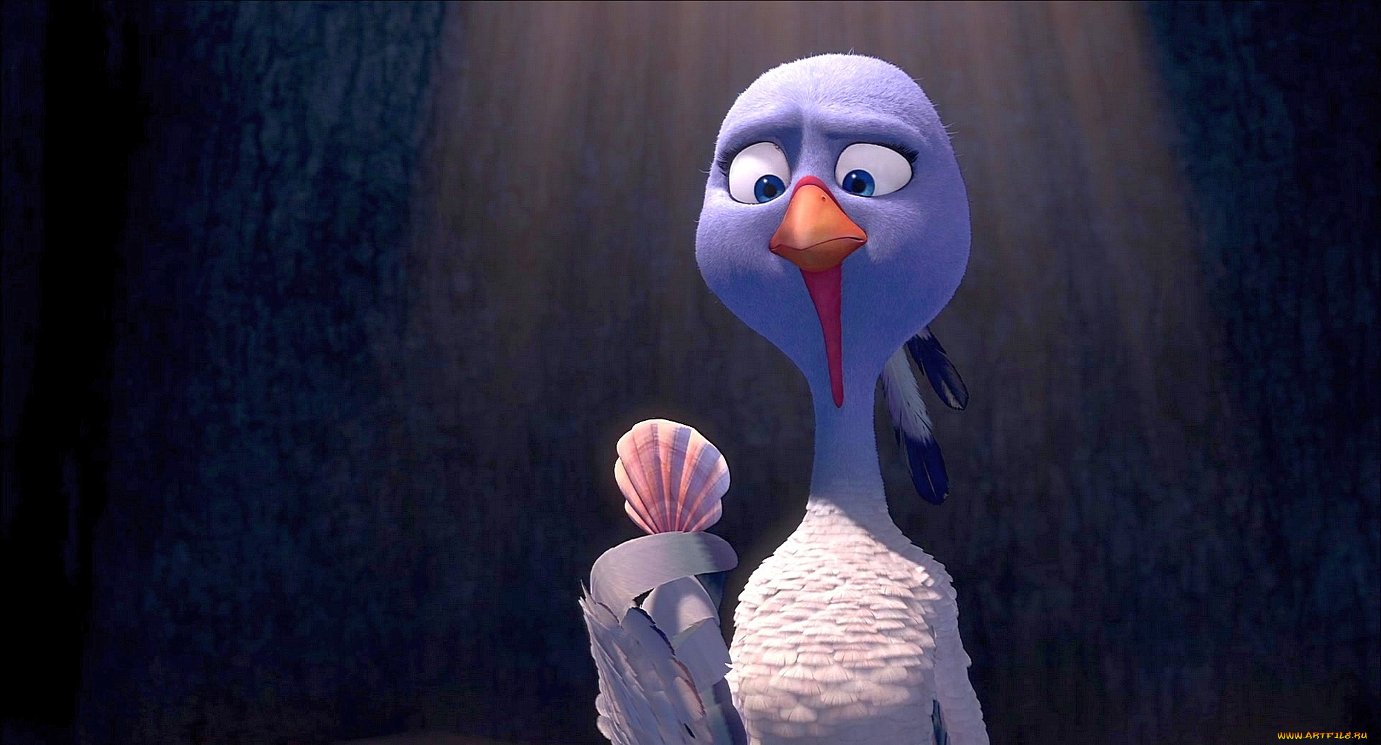 мультфильмы, free, birds, птица, взгляд, ракушка, индюшка, перо