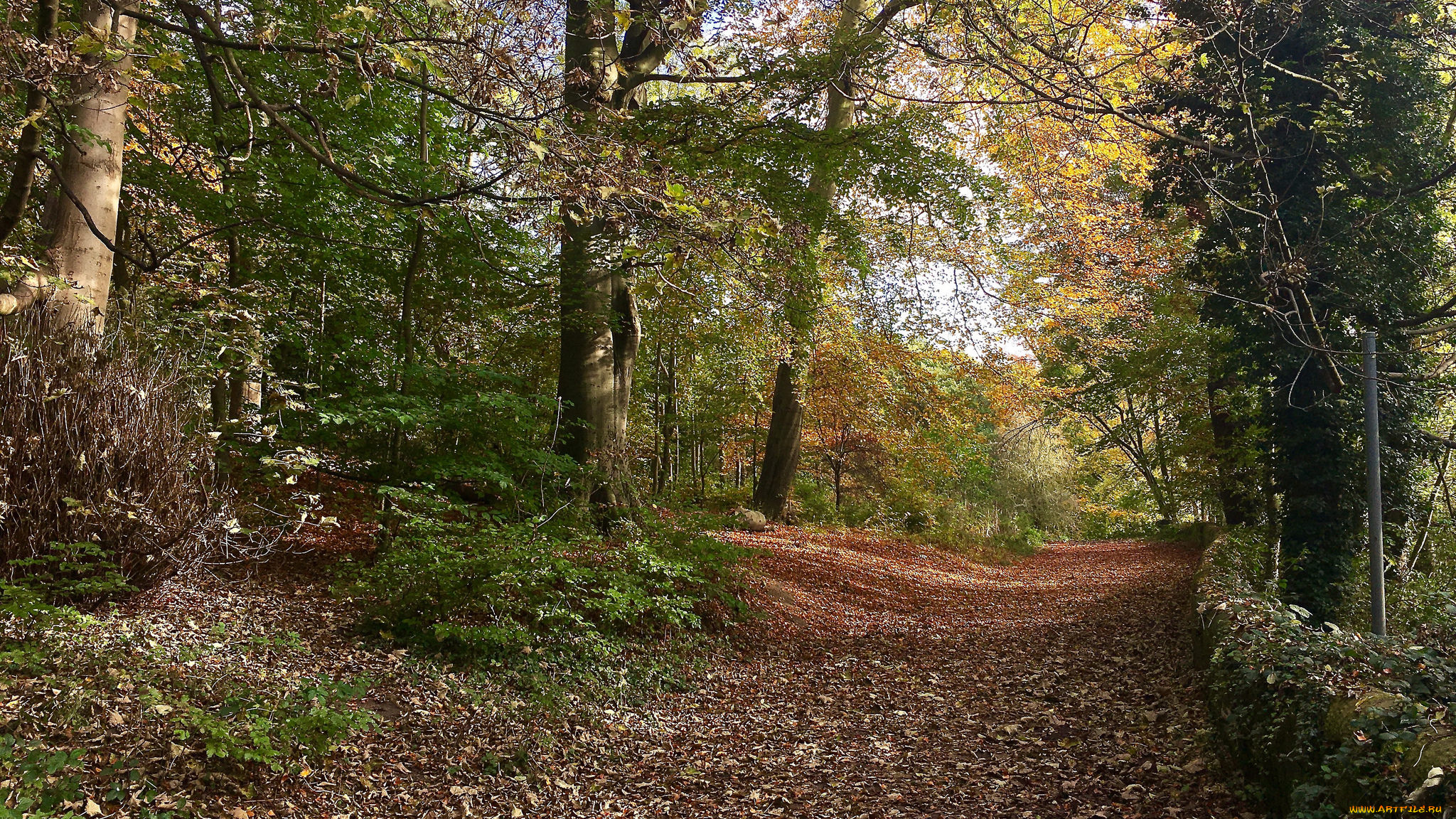 природа, дороги, простор