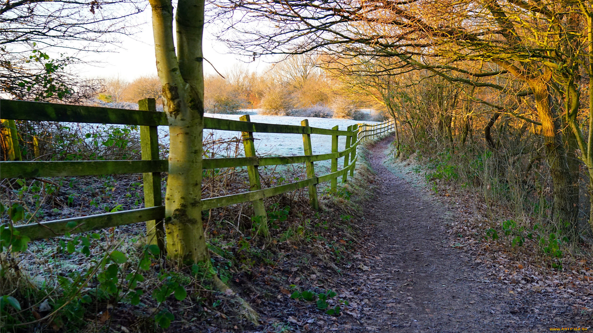 природа, дороги, простор