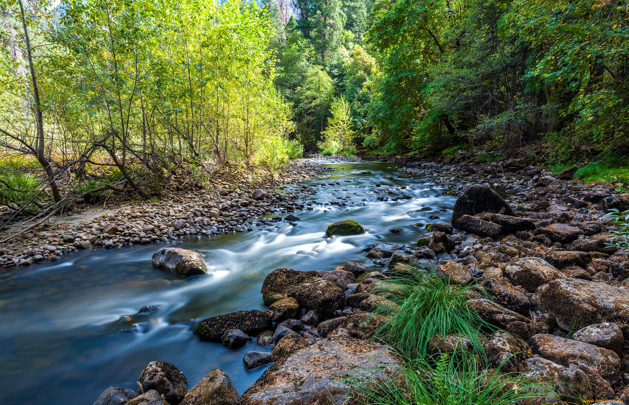 природа, реки, озера, простор