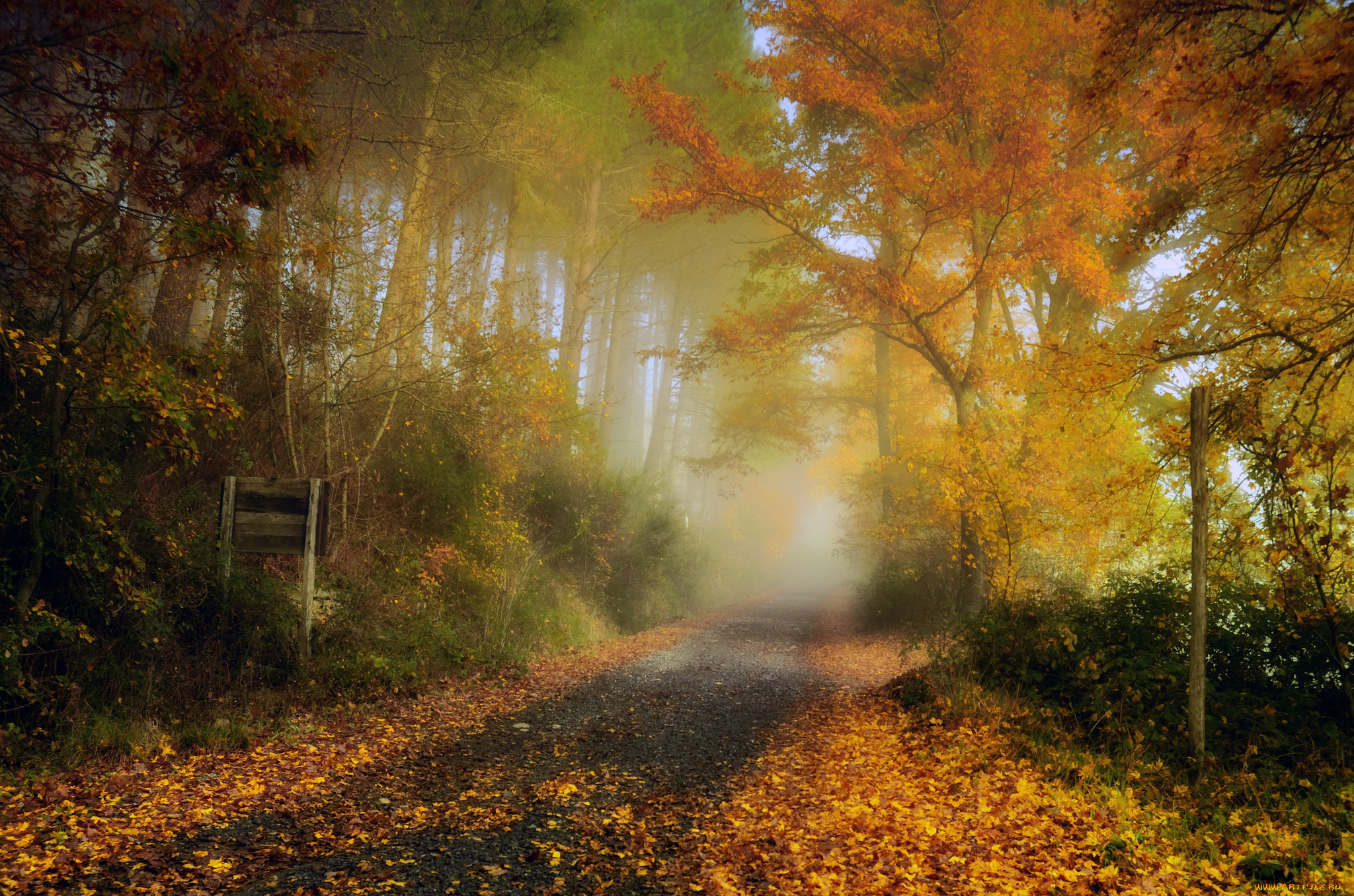 природа, дороги, простор