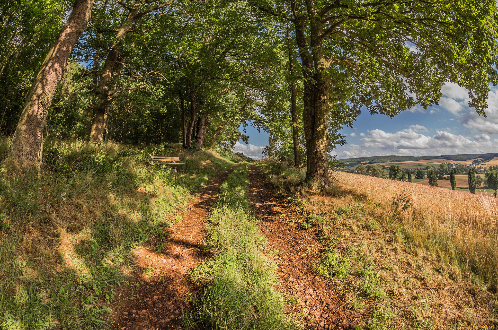 природа, дороги, простор