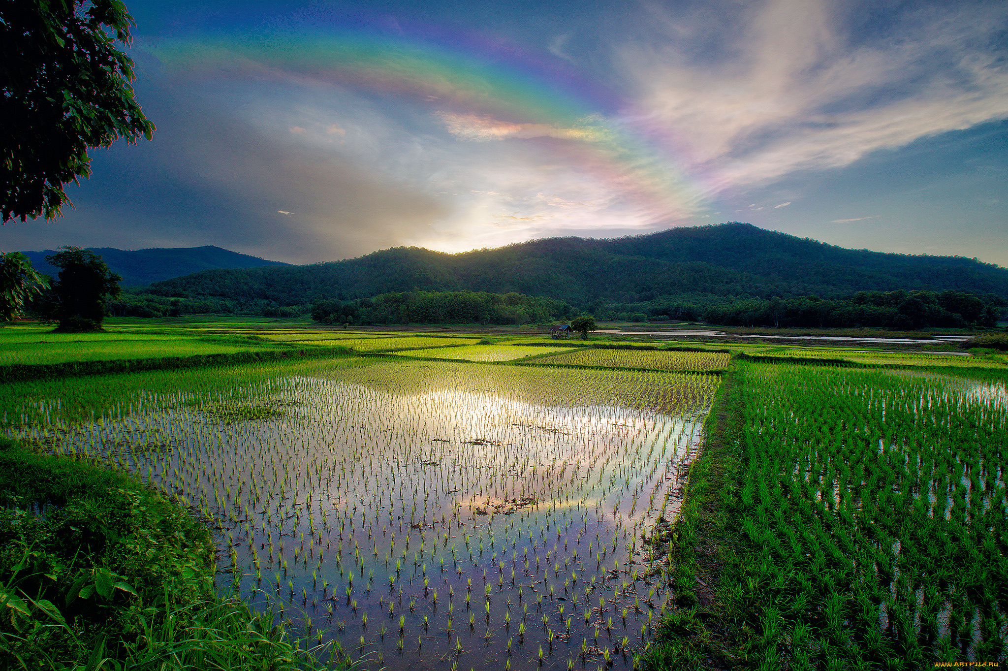 природа, реки, озера, простор