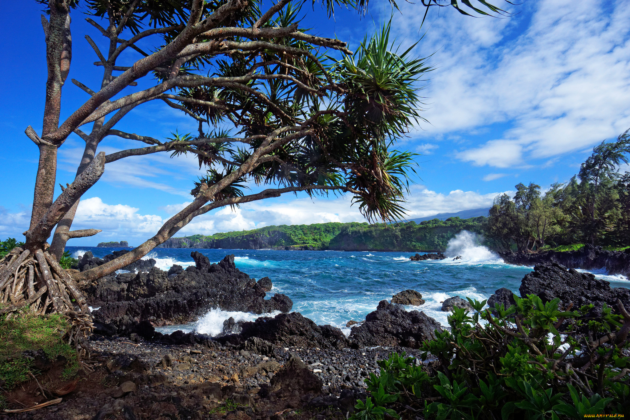 природа, побережье, простор