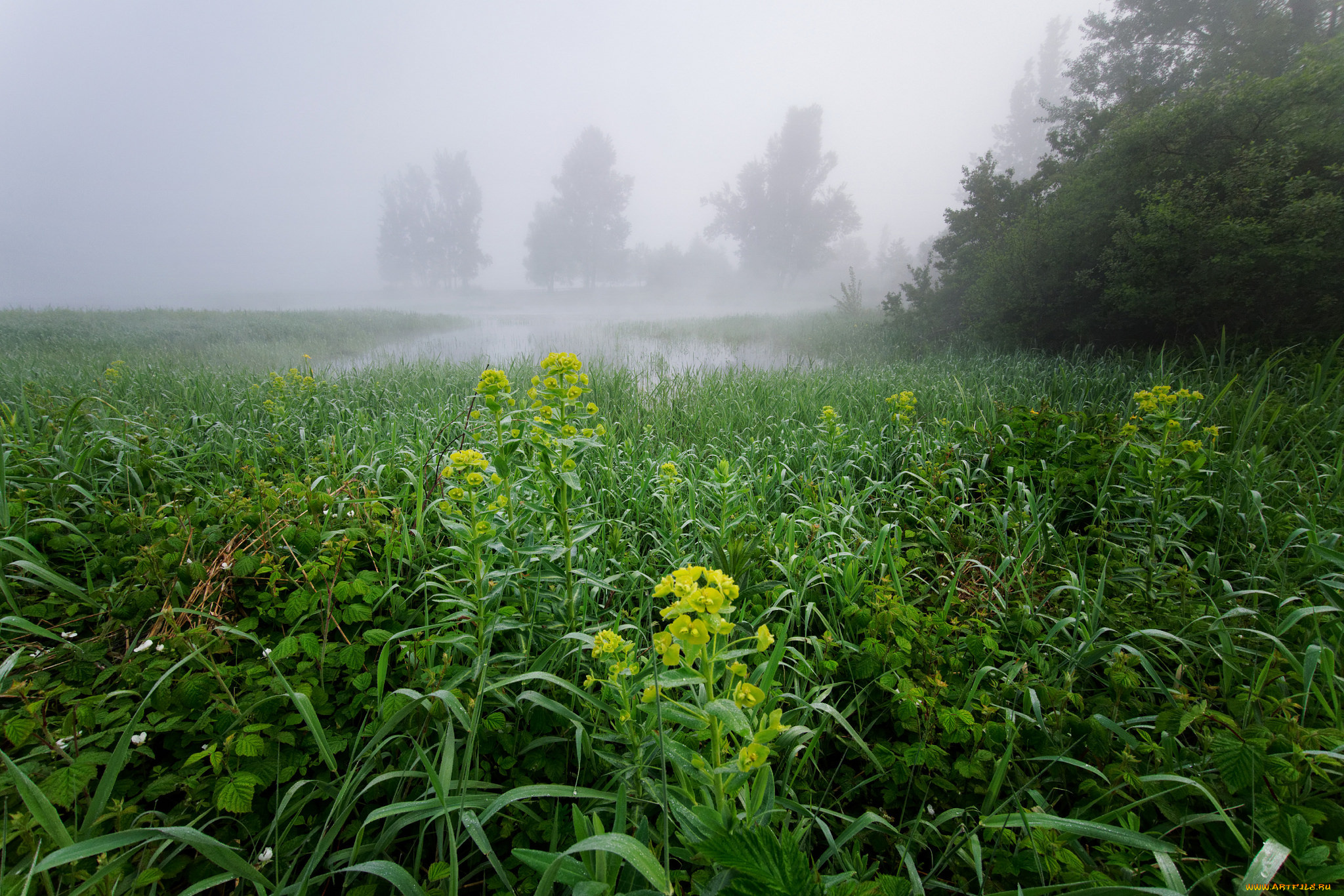 природа, пейзажи, простор