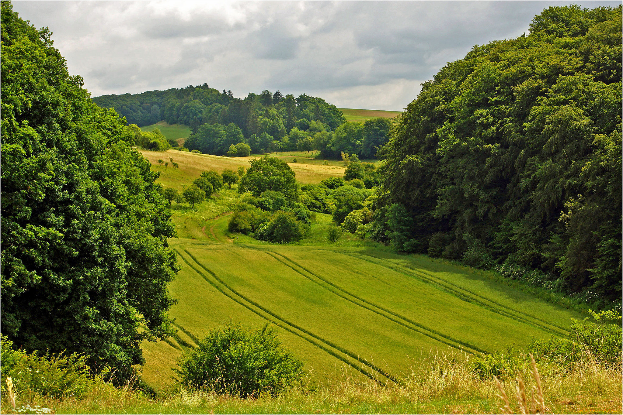 природа, пейзажи, простор