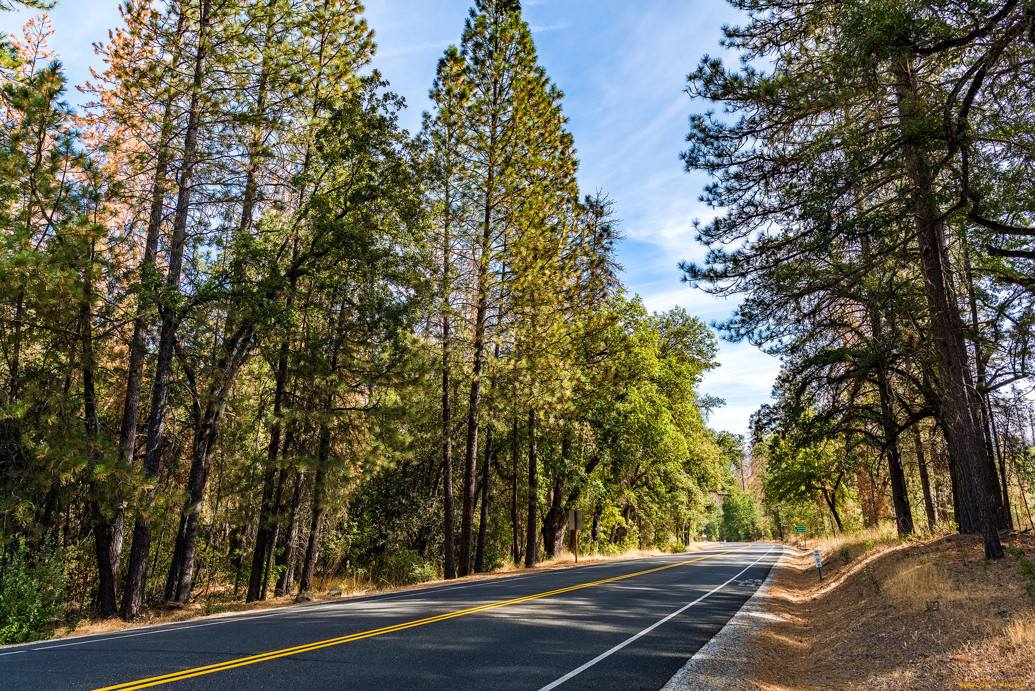 природа, дороги, простор