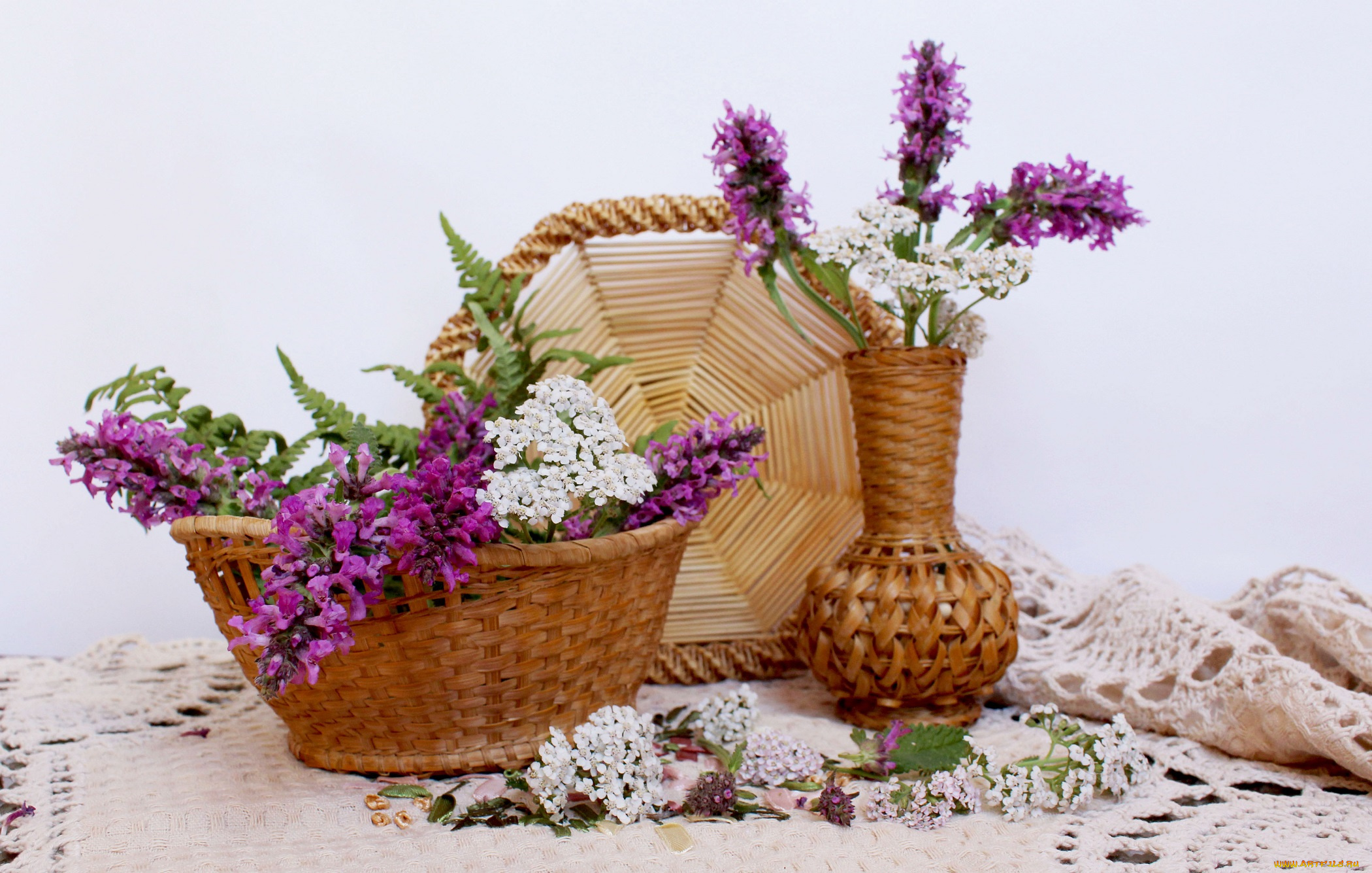 цветы, луговые, , полевые, , цветы, лето, композиция