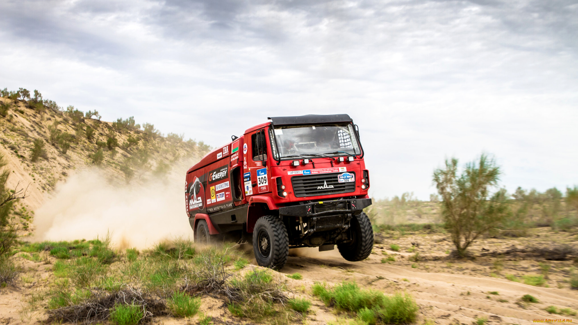 спорт, авторалли, скорость, гонка, maz