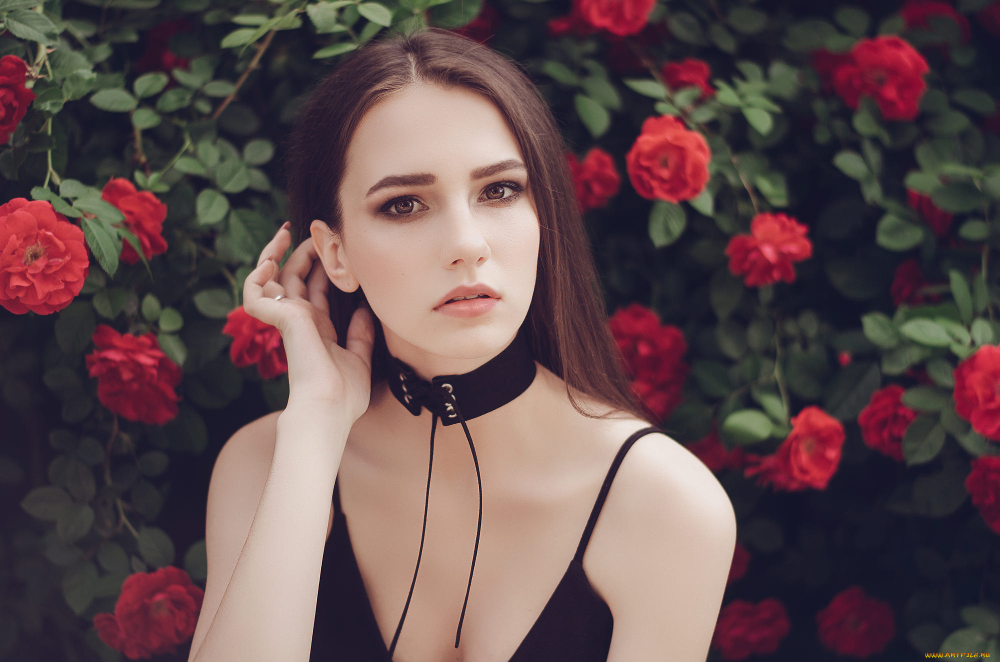 девушка, девушки, -unsort, , лица, , портреты, модель, marina, vovk