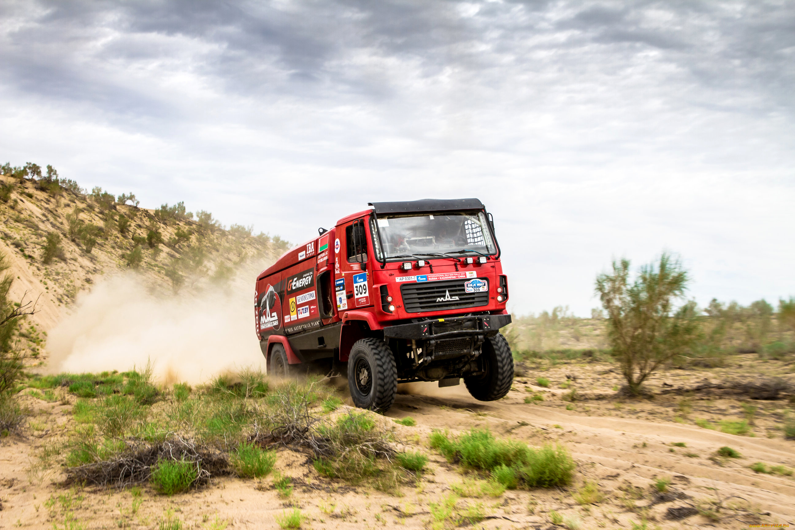 спорт, авторалли, скорость, гонка, maz