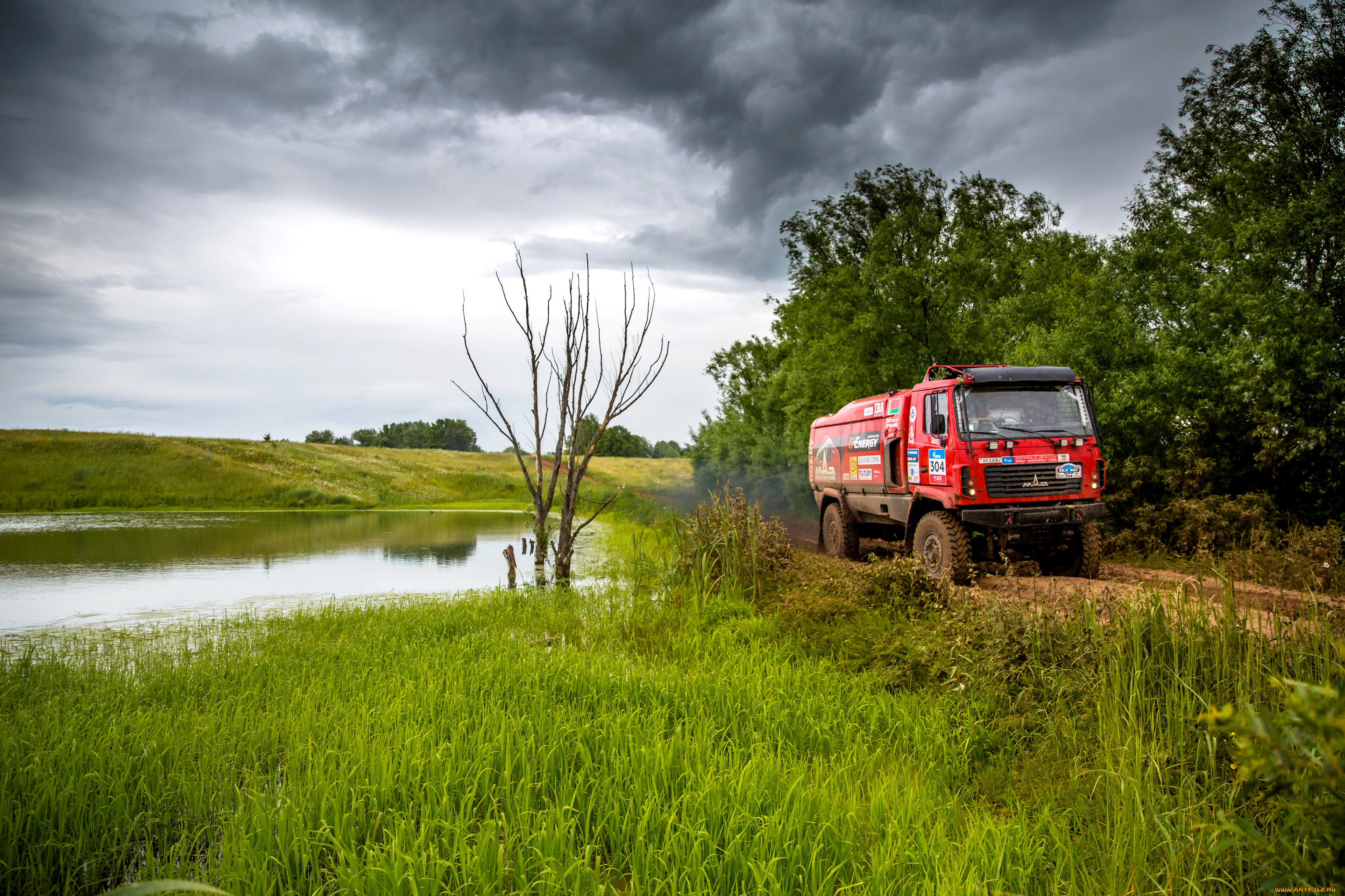 спорт, авторалли, гонка, скорость, maz