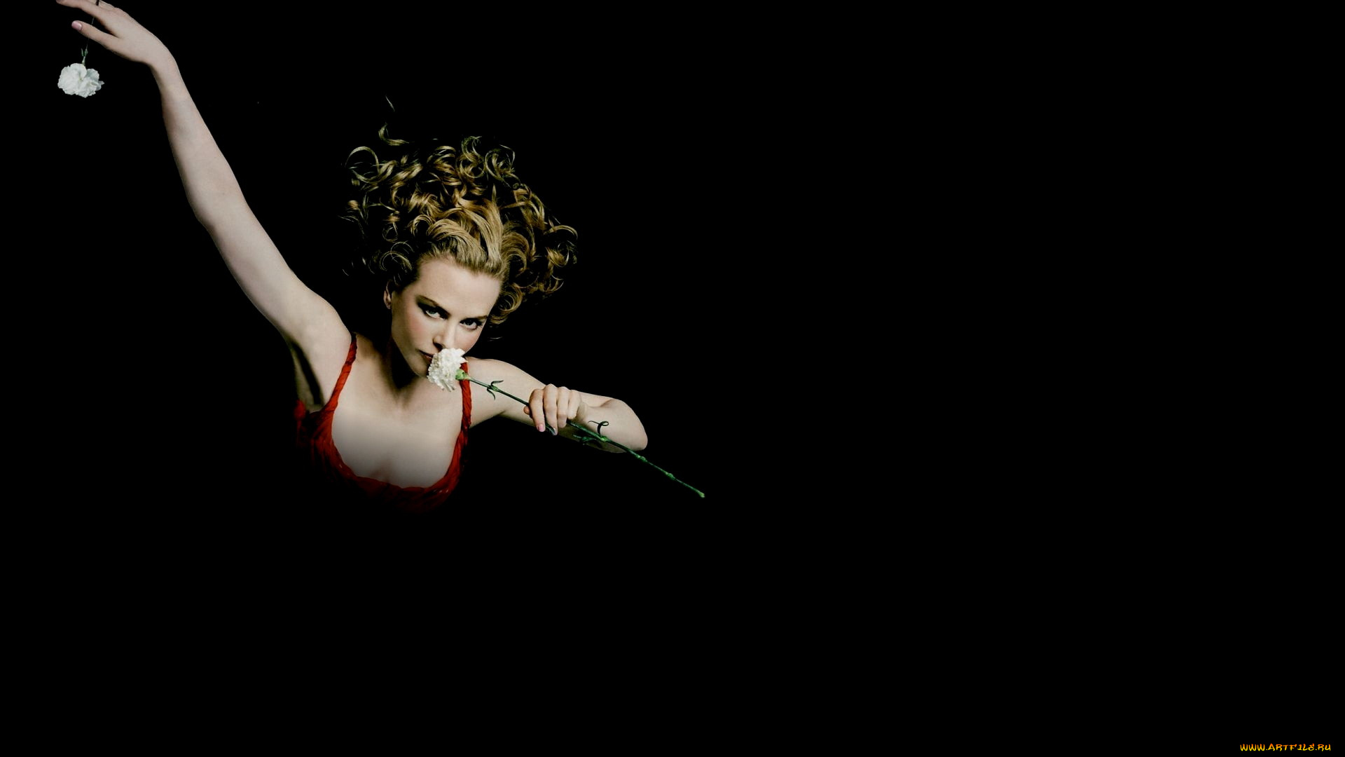 девушки, nicole, kidman, блондинка, актриса, цветы, гвоздики