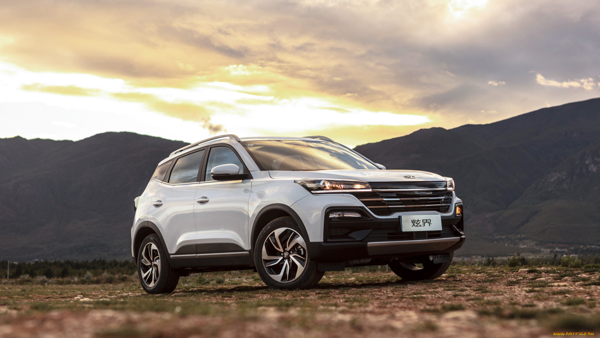 автомобили, cowin