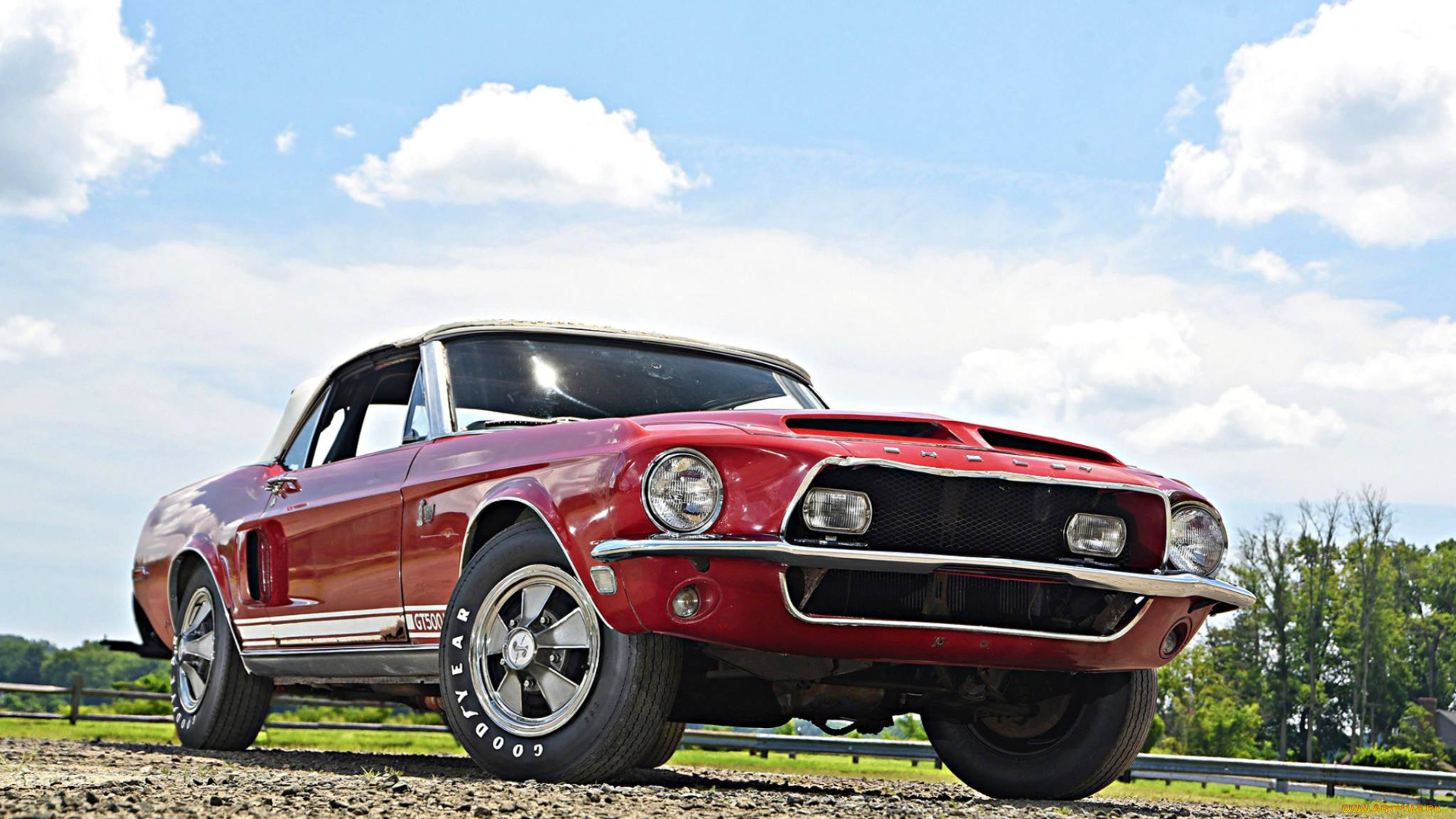 автомобили, mustang