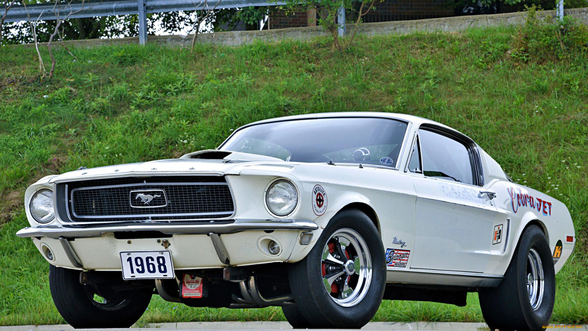 автомобили, mustang