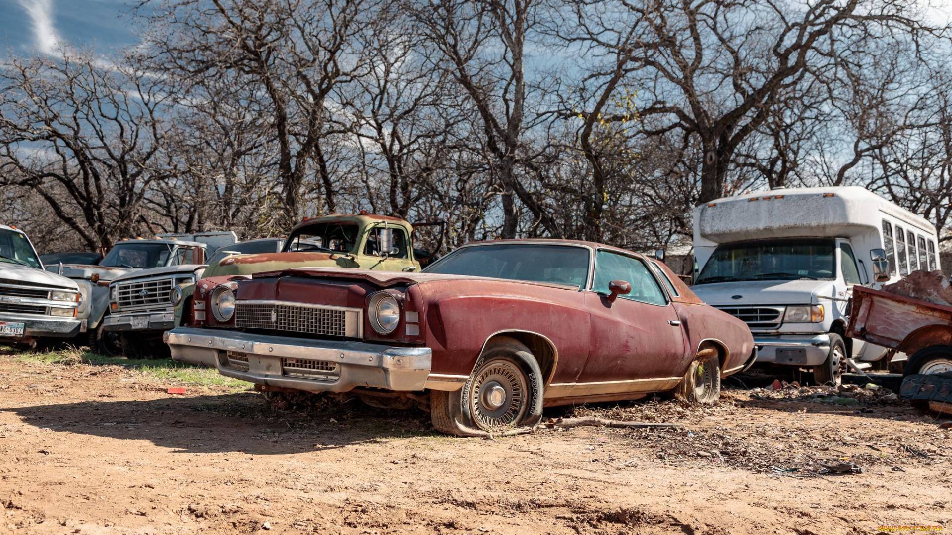 автомобили, выставки, и, уличные, фото, junkyard